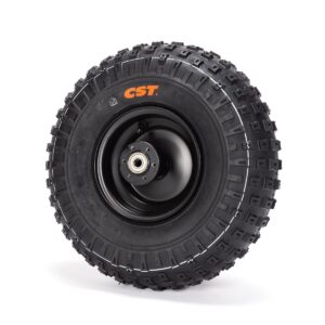 Rear Wheel With Tire