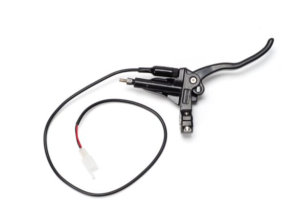 Rear Brake Lever