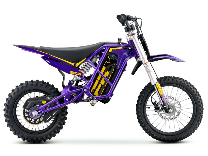 EBOX V3 60R PURPLE/GOLD ELECTRIC BIKE